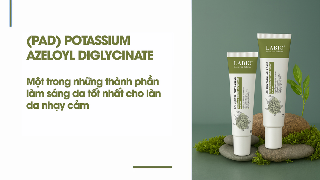 Gel Mụn Tinh Chất Lá Bàng LABIO 15g